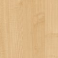 Prime Maple