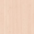 Bleached Maple