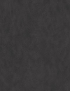 Honed Slate