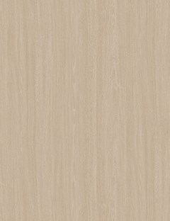 Coastal Oak