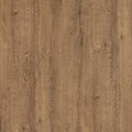 Lofty Oak