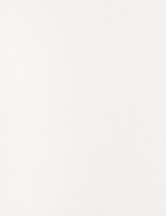 Writeable Whiteboard