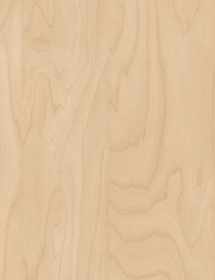 European Birch Rotary Cut