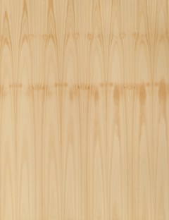 Hoop Pine Crown Cut