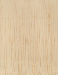 Radiata Pine