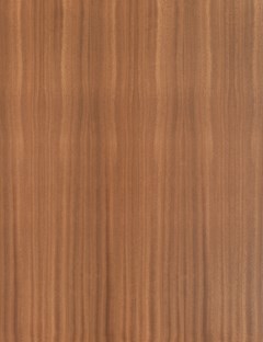 Sapele Quarter Cut