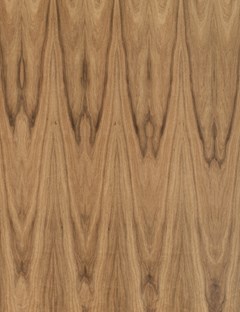 Tasmanian Blackwood Crown Cut