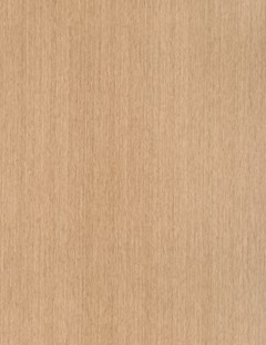 American White Oak Recut
