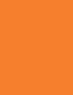 Fat Cat Orange