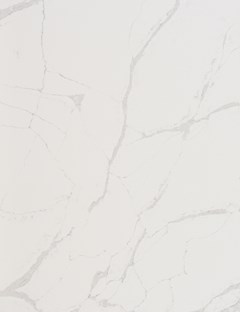 Statuario Venato Leather