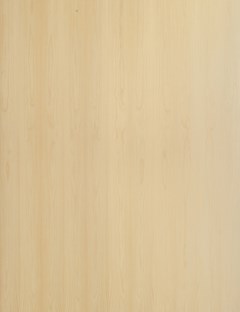 NZ Kahikatea