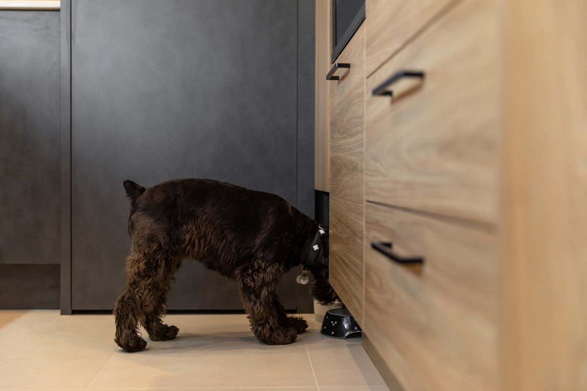 Honed Slate drawer with dog Toni Roberts