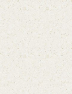 Aspen Stone