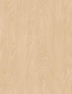 Premium Ply