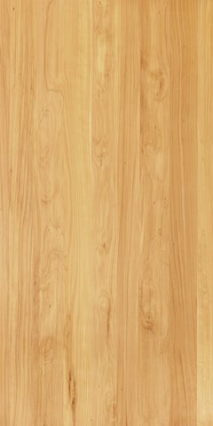 Toitū Macrocarpa