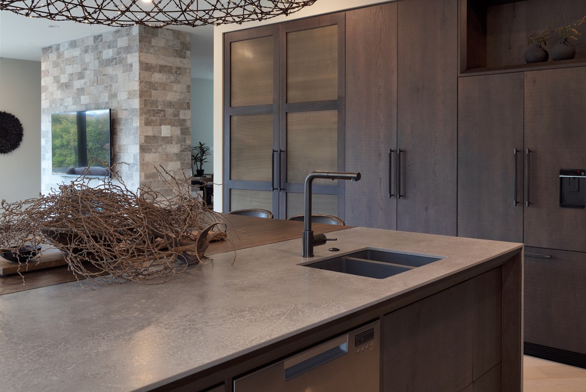 rustic contemporary kitchen with dark colour palette